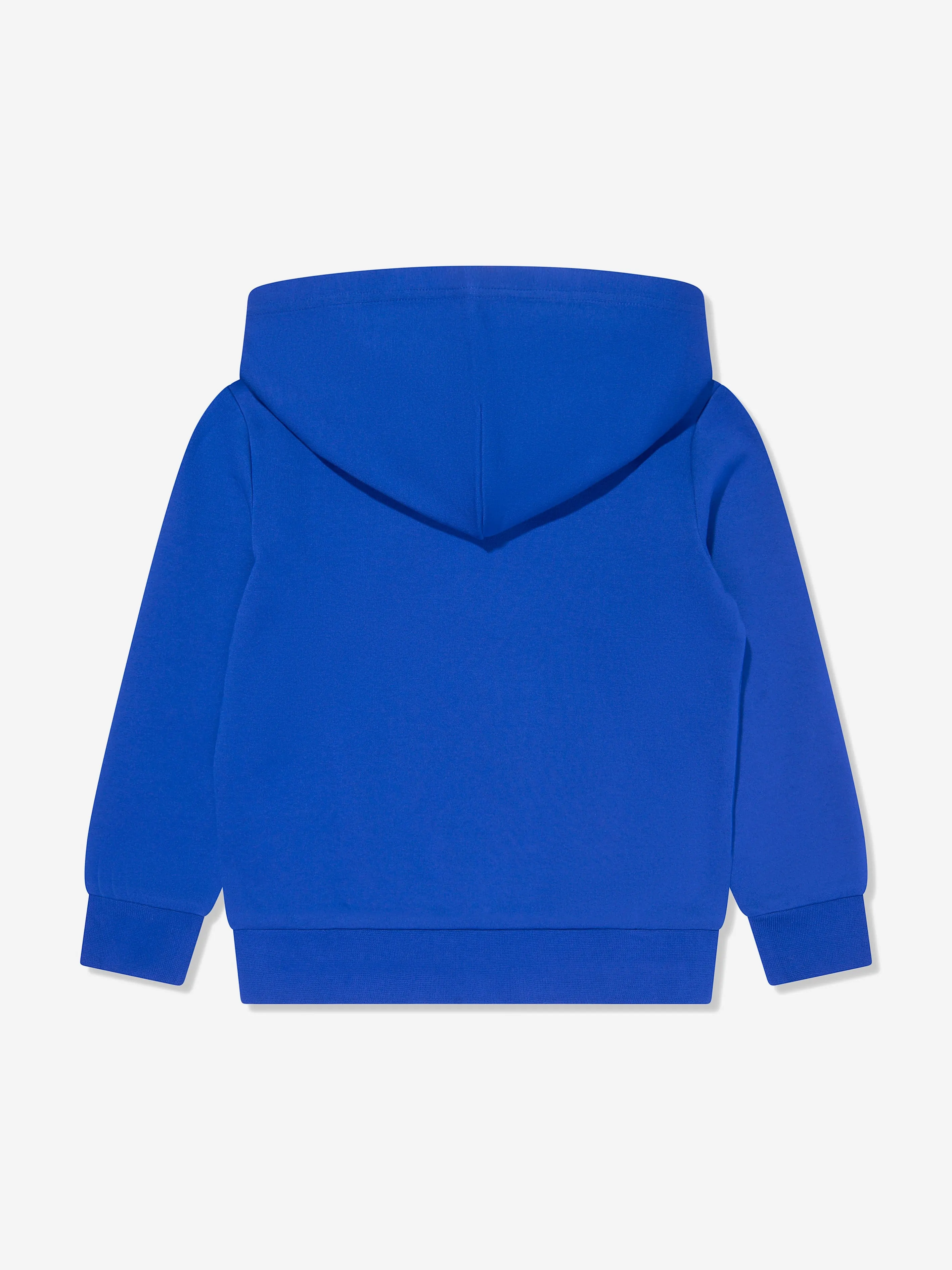 Ralph Lauren Boys Logo Hoodie in Blue